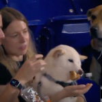 Viral Moment and Marlins’ Response