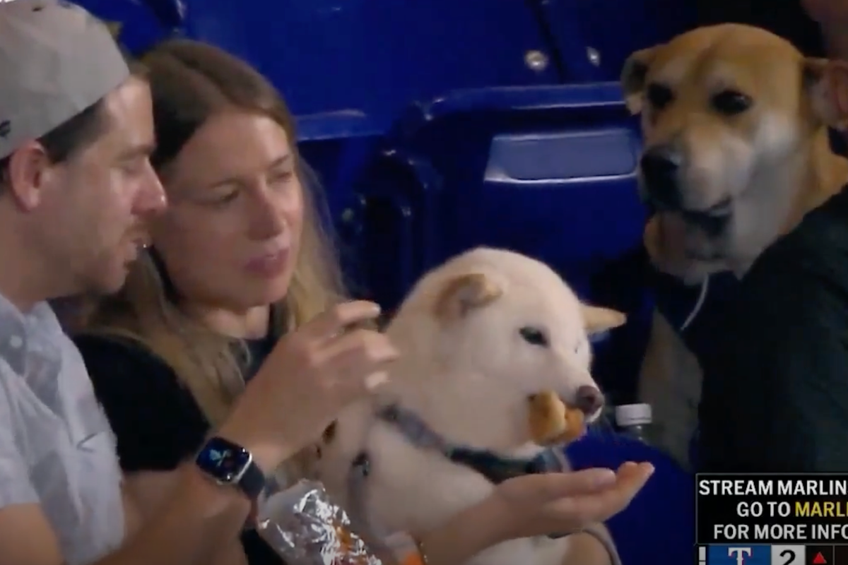 Viral Moment and Marlins’ Response
