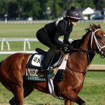 The Field and Favorites