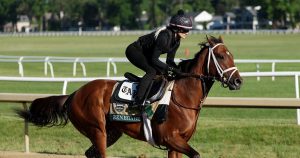 The Field and Favorites