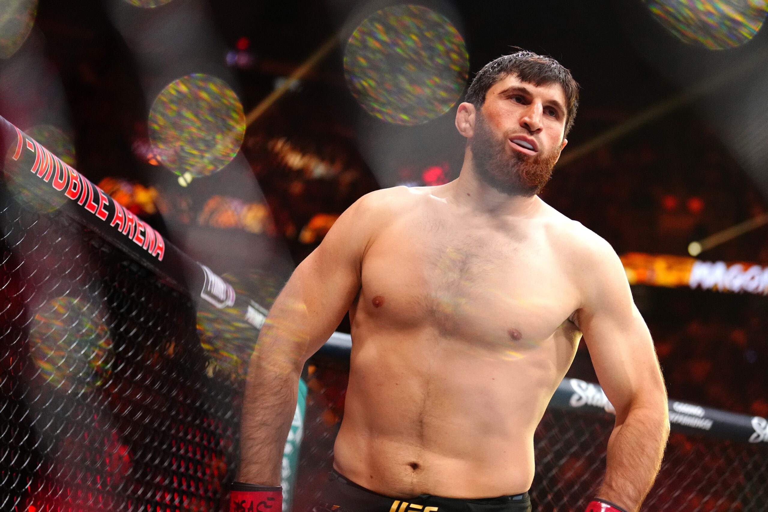 Magomed Ankalaev
