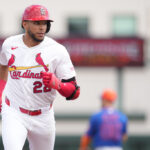 Cardinals Promote Joshua Báez Ahead of Cubs Game
