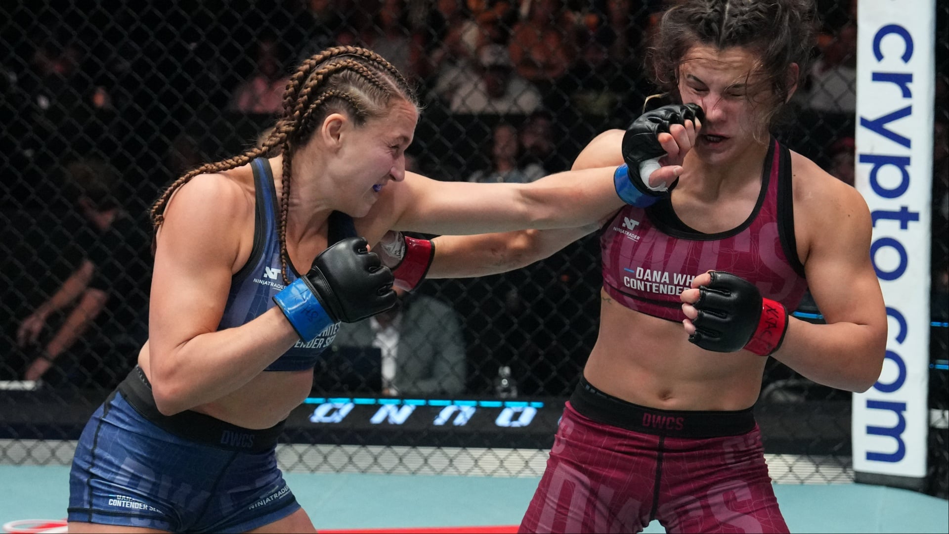 Bella Mir Suffers Historic Contender Series Upset Loss to Alex Apodaca