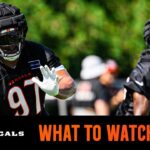 Lions vs. Bengals Preseason 2026: TV Channel, Time and Streaming Info