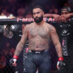 UFC 329