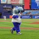 Hillsborough County Commission and City Council Approve Tampa Bay Rays Stadium