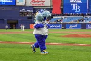 Hillsborough County Commission and City Council Approve Tampa Bay Rays Stadium