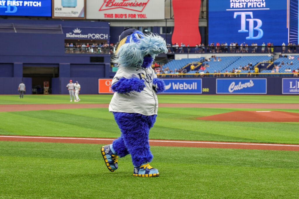 Hillsborough County Commission and City Council Approve Tampa Bay Rays Stadium
