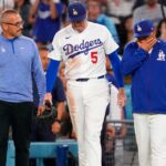 Freddie Freeman Day-to-Day With Soreness After Fall Down Dugout Steps