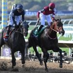 Forever Young Odds Shorten After Two Scratches in Jockey Club Gold Cup