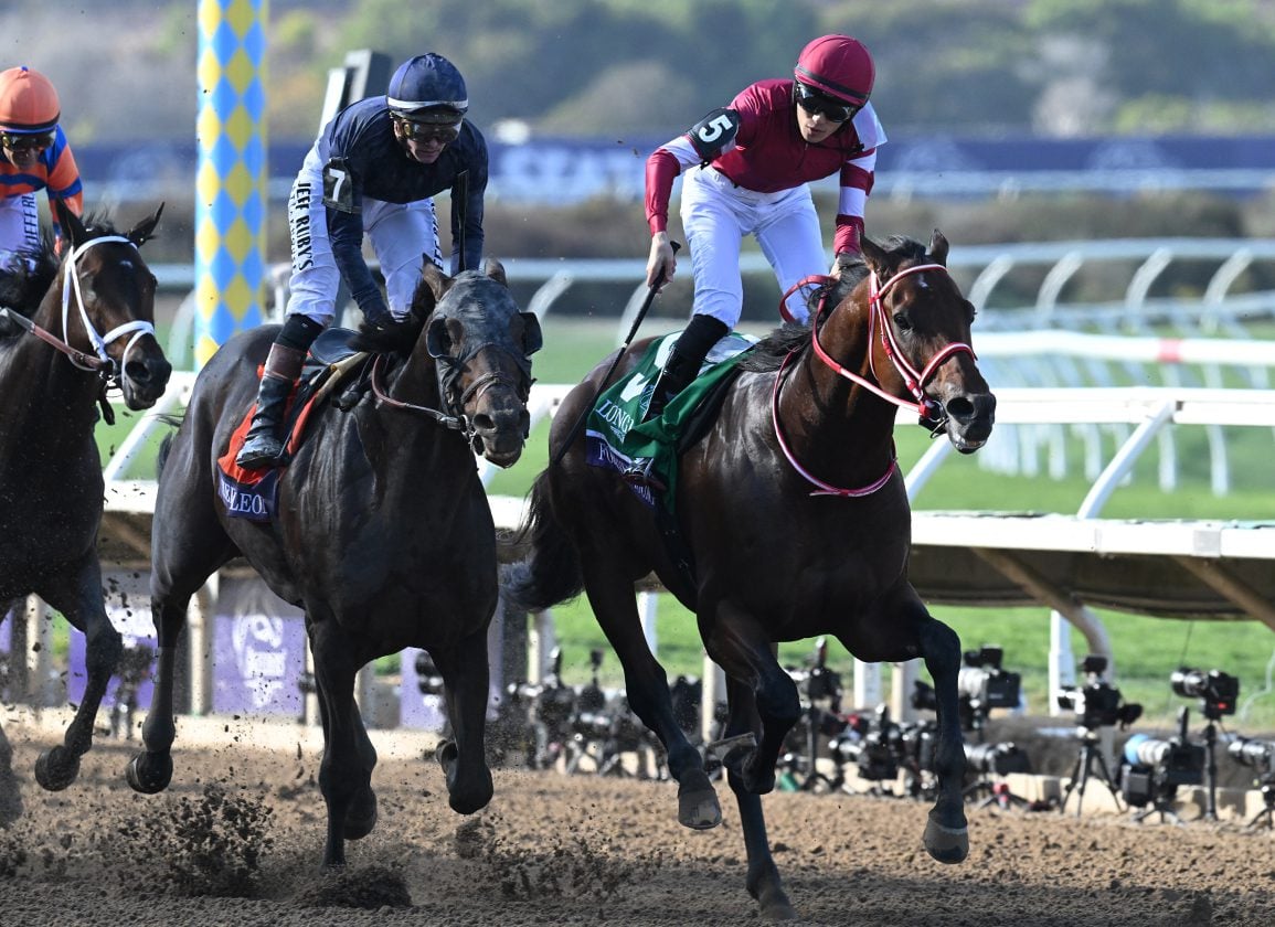 Forever Young Odds Shorten After Two Scratches in Jockey Club Gold Cup